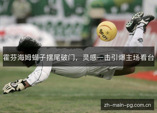 霍芬海姆蝎子摆尾破门,灵感一击引爆主场看台 霍芬海姆蝎子摆尾破门,灵感一击引爆主场看台